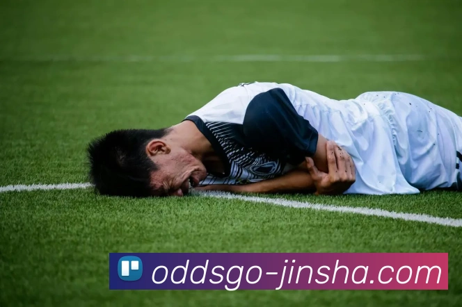 多媒体互动体验